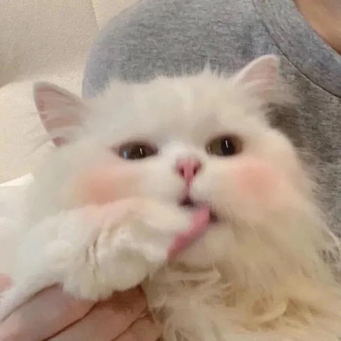 超有趣的朋友圈文案