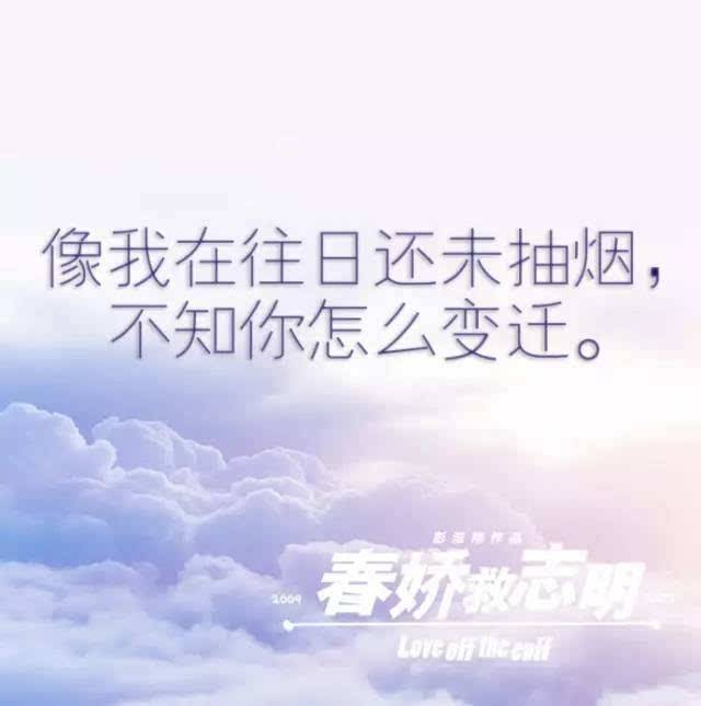 经典扎心情感文案(情感扎心文案精选)