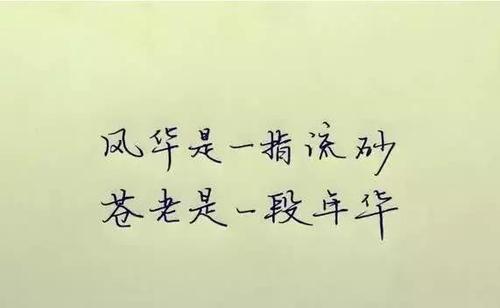 表白情话最暖心一段话