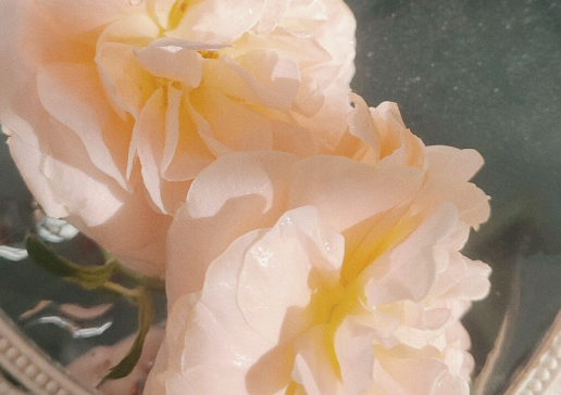 甜到炸的小情话