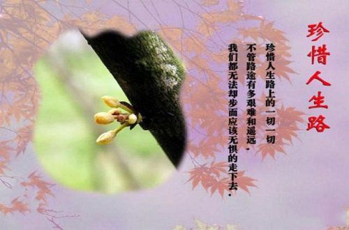 珍惜现在