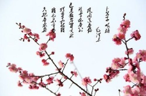 咏梅