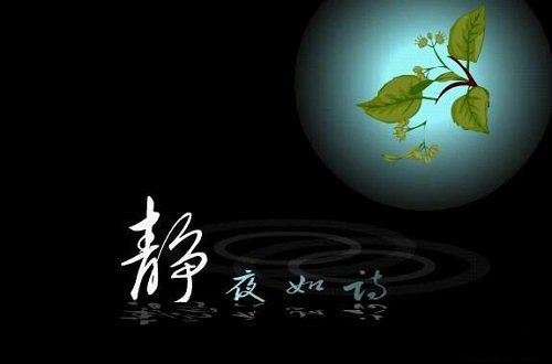 夏夜思绪