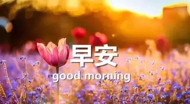 早安2021最新正能量
