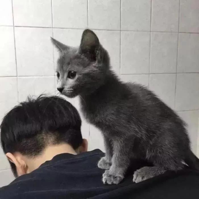适合发朋友圈秀恩爱的句子