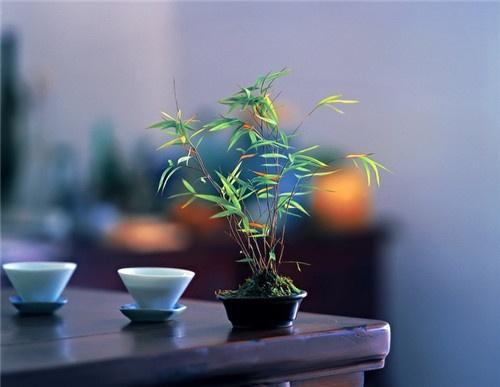《窗边的小豆豆》好句摘抄大全