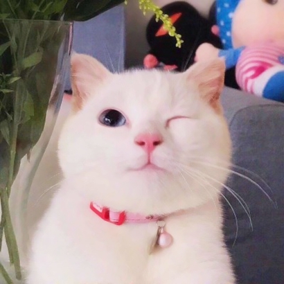有深度有涵养的句子图片