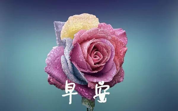 励志的现实句子说说心情
