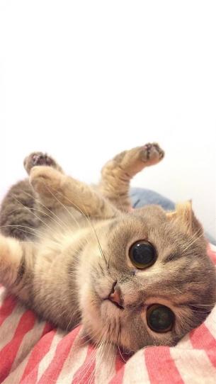 人生哲理句子精辟