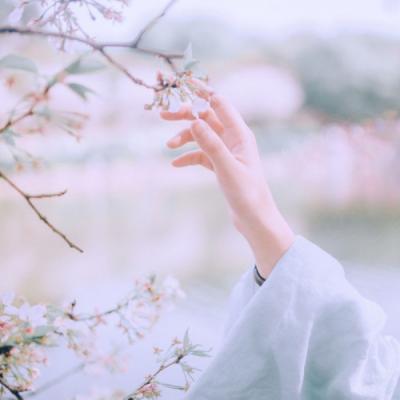 原耽可以写进作文里的句子