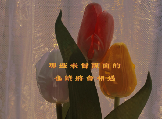 惊艳了世人的书摘文案