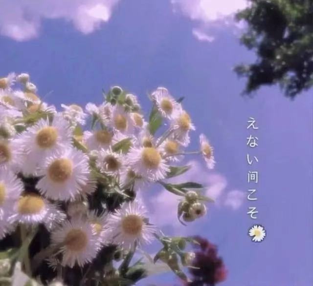 经典美句摘抄短句