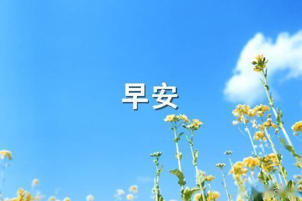 早安情话发给女朋友