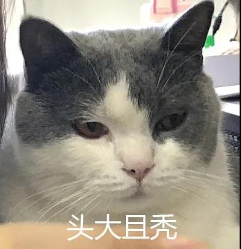 关于小时候笑死的句子
