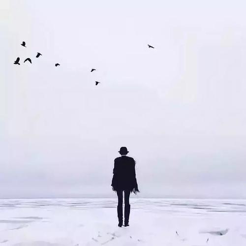 关于人生无奈的句子说说心情短语