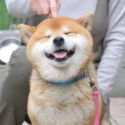 生活不易 尽量给自己最好的说说