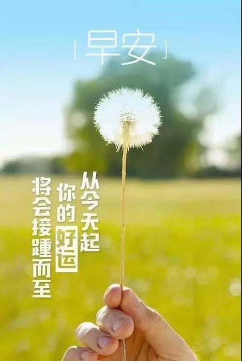 人生感悟的心灵鸡汤经典语录