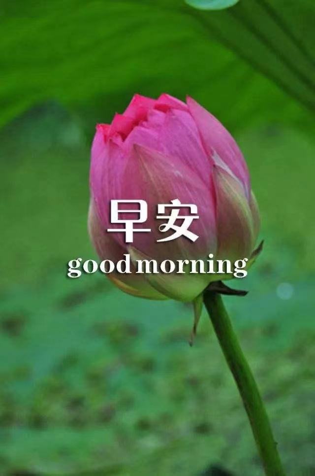 人生感悟的心灵鸡汤经典语录