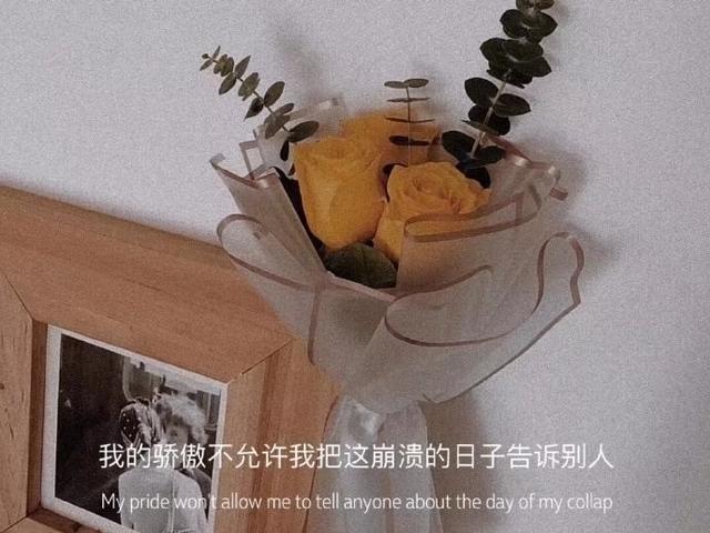 情感文案长版(经典情感文案)