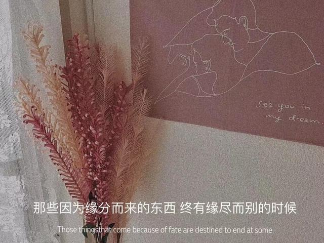 情感文案长版(经典情感文案)