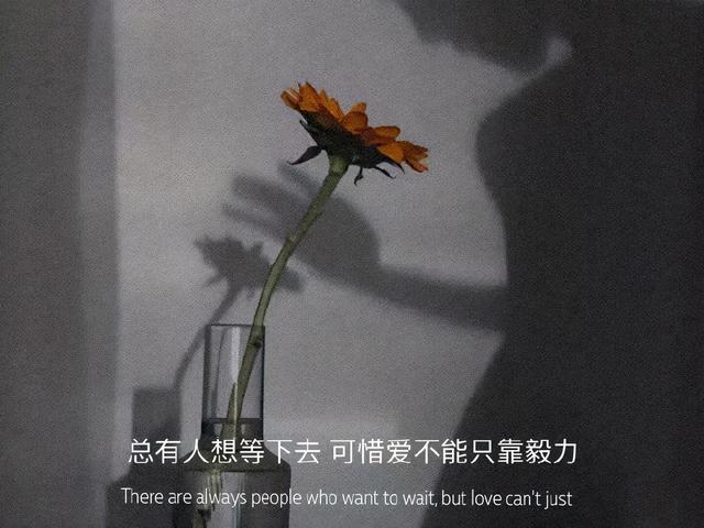 情感文案长版(经典情感文案)