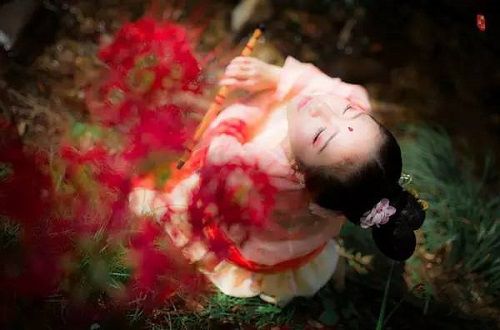 清平乐·春来秋去
