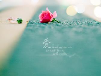 最打动人心的征婚短语