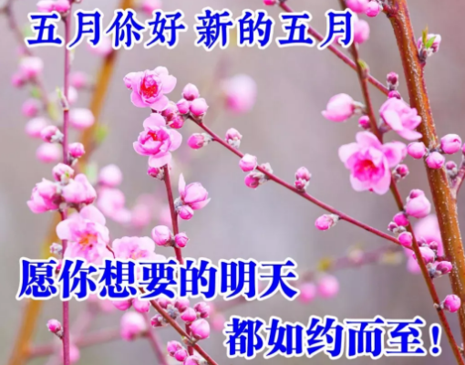 五月你好的早安图片大全 你好五月图片