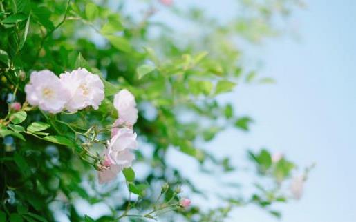 教师节微信祝福语大全 教师节祝福语简短简单