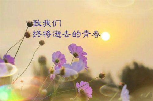 致青春（写在五四青年节）