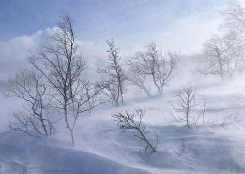喜欢雪的句子说说心情 感受雪景的心情短语