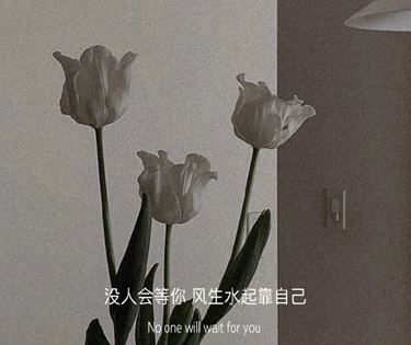 个性简短优美文案带图片说说 静待漫天的繁星