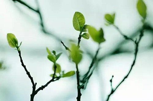 我若离去，谁会在意？
