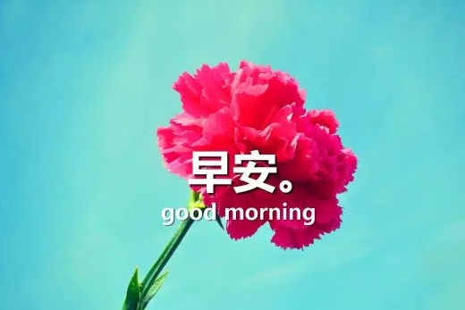 早安暖心话给女朋友的情话 每日撩人小情话