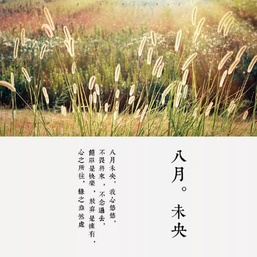 2021迎接八月的励志说说文案