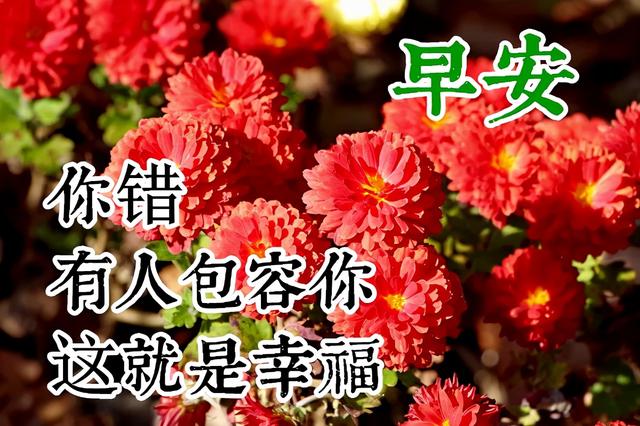 情感文案人心简单才会快乐(开心的情感文案)