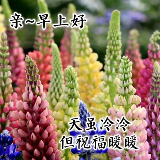 情感文案人心简单才会快乐(开心的情感文案)