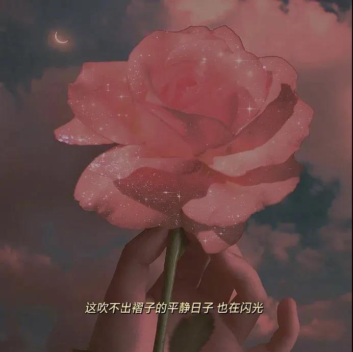 温柔干净无关爱情的句子