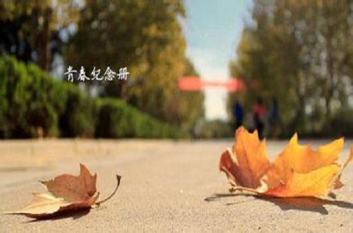 青春留念