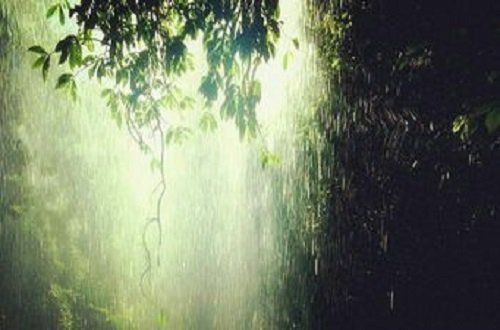 下雨天也要奔跑