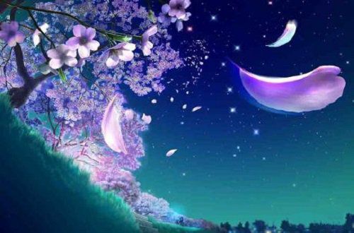 一季花开，情缘殇