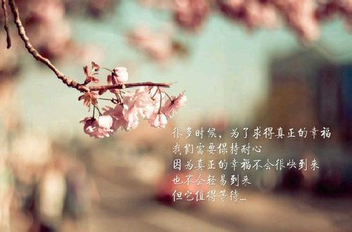 这一身伤是青春留下的残妆