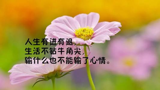 充满正能量的祝福语