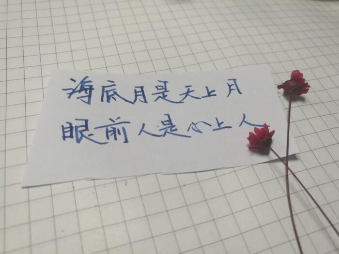 好诗句大全唯美