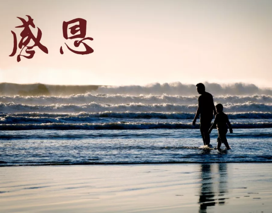 表达父爱如山经典诗句