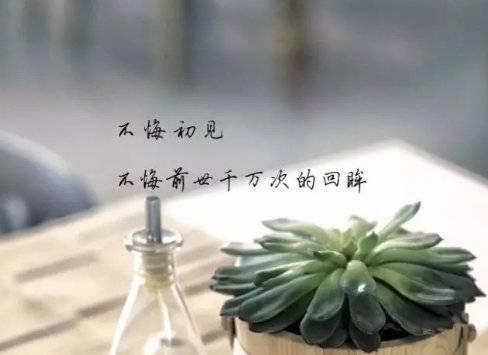 解压放松心情的句子