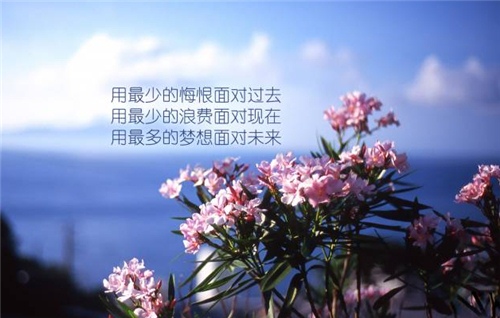 很经典的一句话朋友圈说说30句