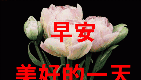 最好的微信早安问候语简短 早上好最精辟的句子25句