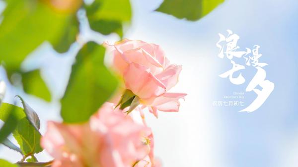 七夕情侣之间很甜很撩的微信签名 你若不离我便不弃