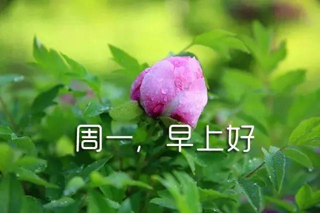 和女朋友说的早安撩人情话，